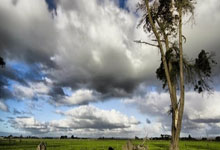 足球赛场强队碾压弱队，焦点战报引发关注