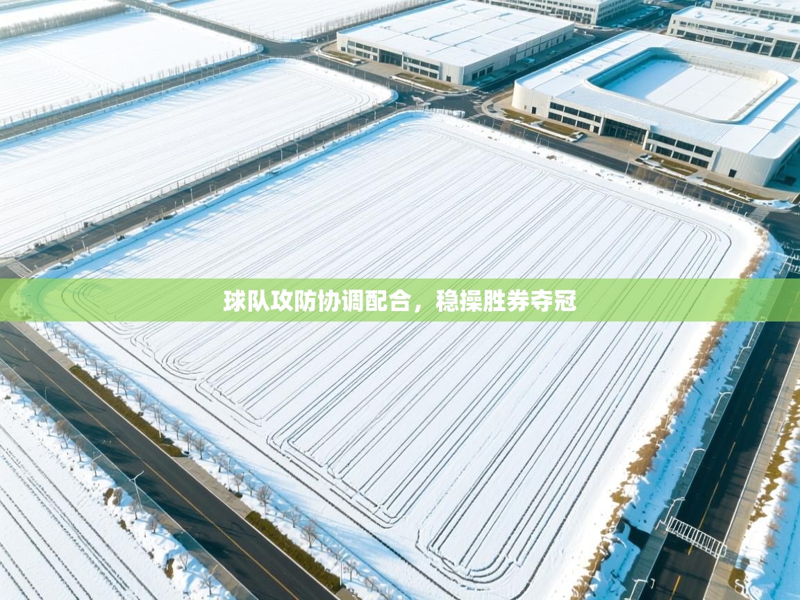 球队攻防协调配合,稳操胜券夺冠