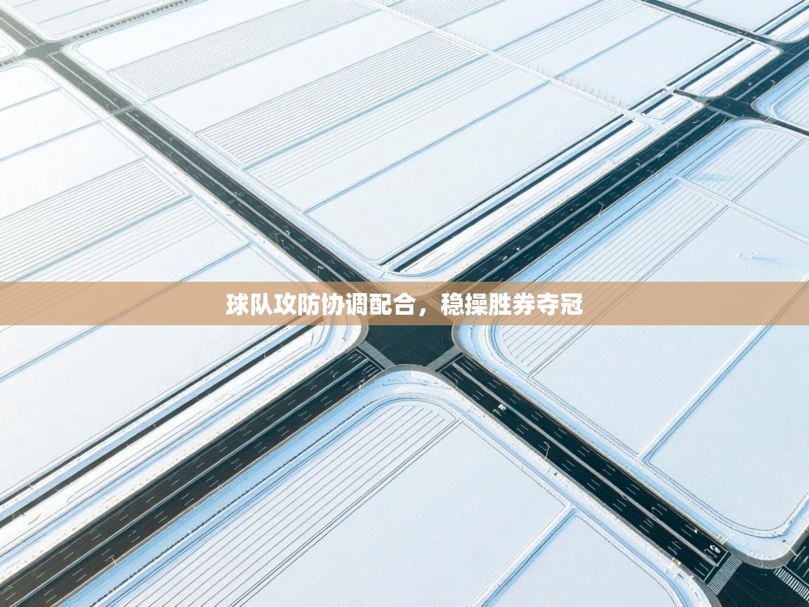 球队攻防协调配合，稳操胜券夺冠  第2张